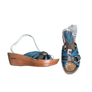 Cole Haan Nike Air Bronze & Blue Sandals Size 11